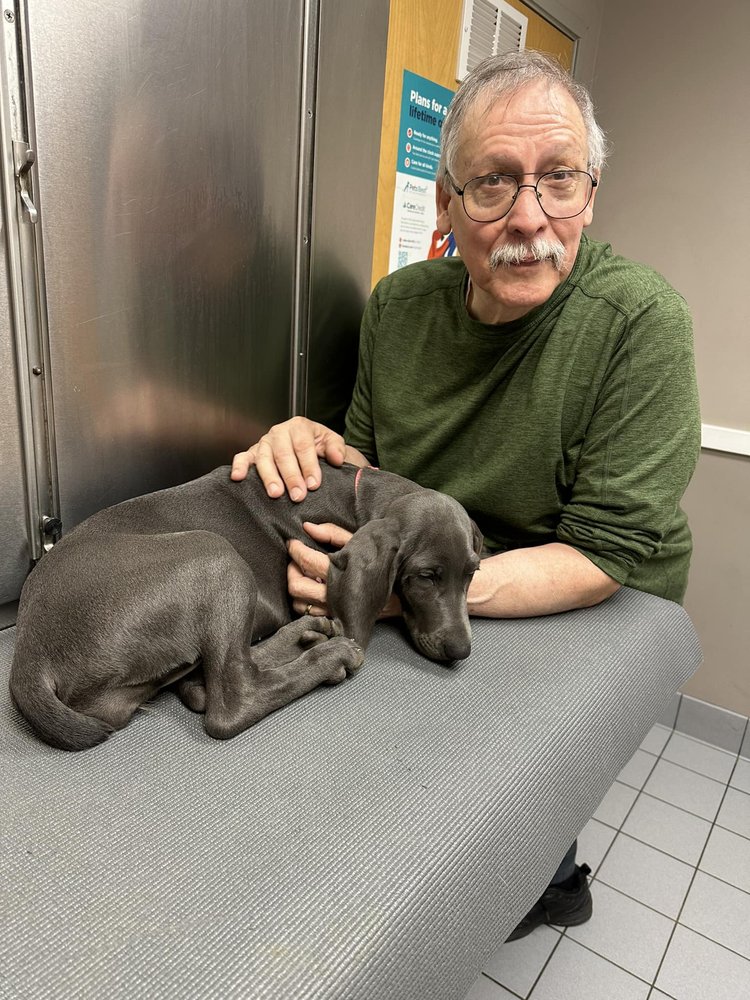 Sayrebrook Veterinary Hospital - pet boarding facility in Sayreville, NJ