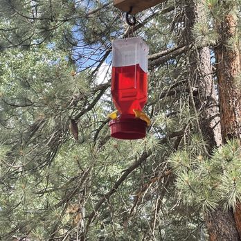 Lone Wolf Cabins - Vacation Rentals Near Me - Bayfield, Colorado