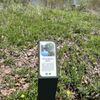 Ellicott Creek Park gift card