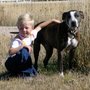 Photo of A Mobile Veterinarian