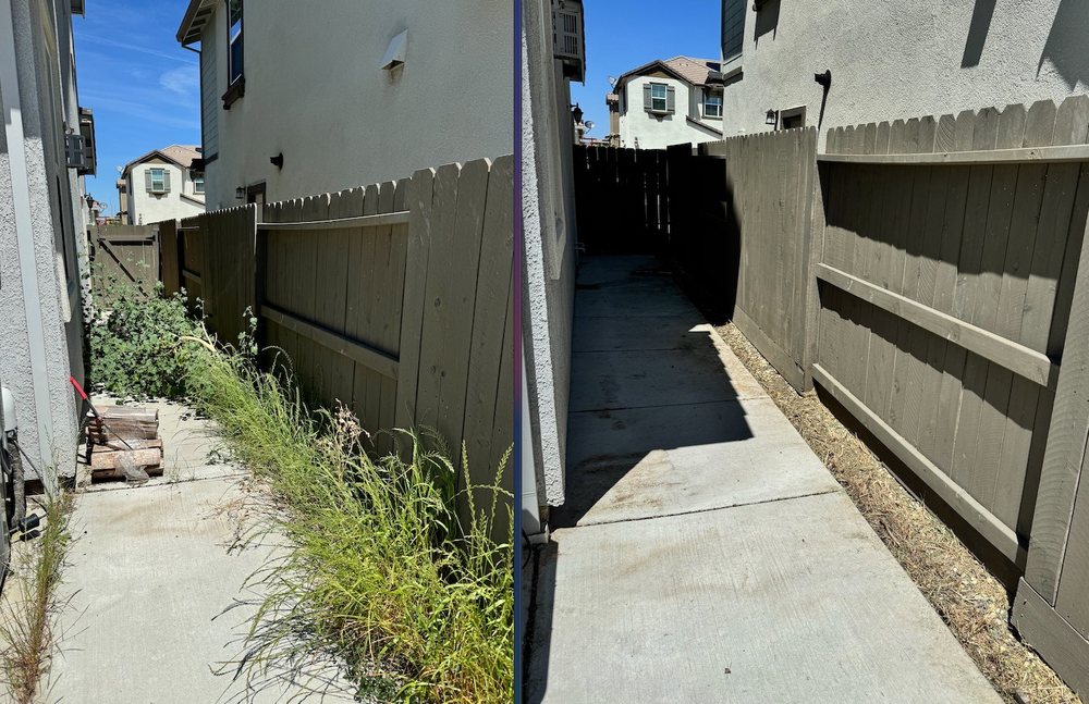 Get it Done yard cleanups - tree service in Sacramento , CA