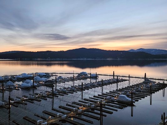 The Coeur d'Alene Resort by null