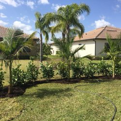 Palm City Palms & Tropical