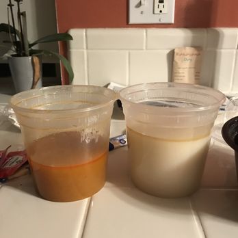 Tastee Steam Kitchen - Hot pot - Seafood Near Me - Oakland, California