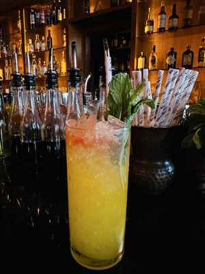 The Good Lion by null