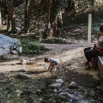 Forest Home - Summer Camps Near Me - Forest Falls, California Forest Home - Summer Camps Near Me - Forest Falls, California