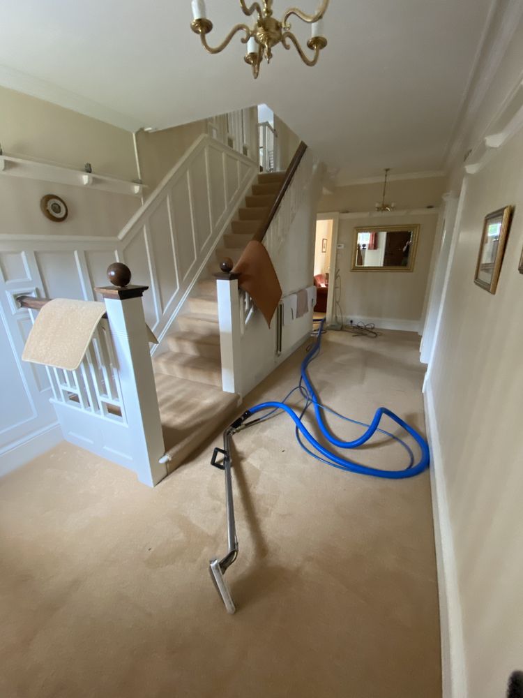 THE CITY CLEANERS Updated June 2024 56 ridge terrace, Leeds, West