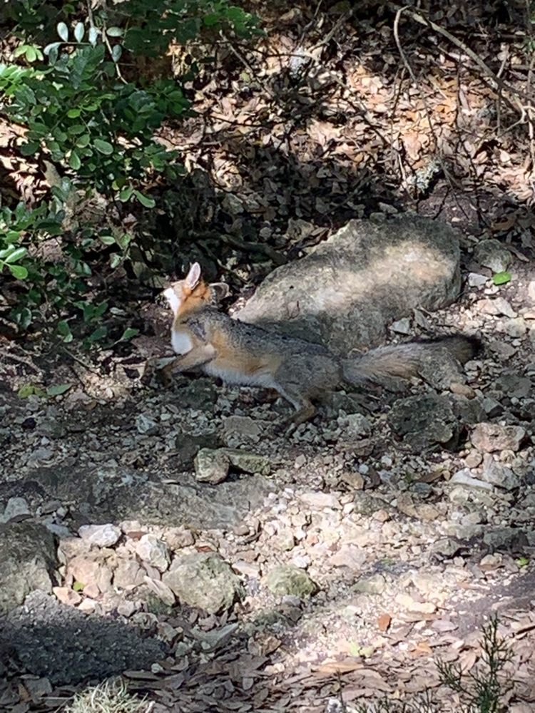 CEDAR CREEK GOLF COURSE Updated May 2024 50 Photos & 44 Reviews