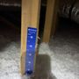Izzy's Insulation