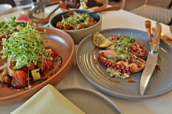 TALINE Updated December 2025 118 Photos 27 Reviews 1276 Yonge TALINE Updated December 2025 118 Photos 27 Reviews 1276 Yonge