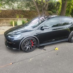 Best Tinting