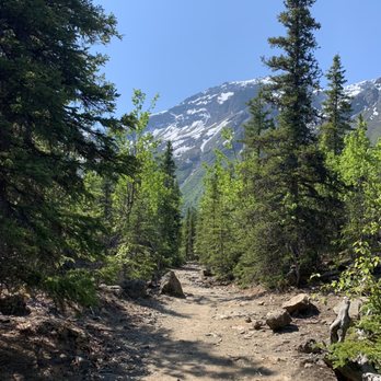 Eagle River Nature Center - Hiking Near Me - Eagle River, Alaska
