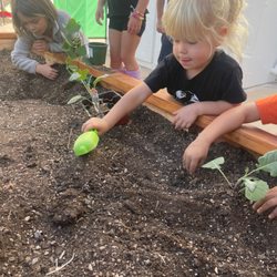 Come plant our edible garden with us!