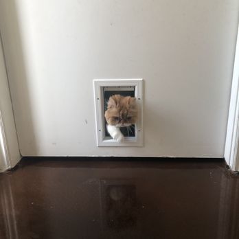 Pretty Paws Pet Grooming - Pet Groomers Near Me - Las Vegas, Nevada Pretty Paws Pet Grooming - Pet Groomers Near Me - Las Vegas, Nevada