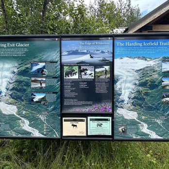 Exit Glacier and Harding Icefield Trail - Trail Information - Hiking Near Me - Seward, Alaska