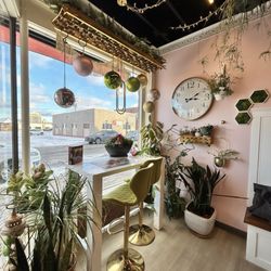 Sugar ‘n Spice Cheesecakes & Coffee