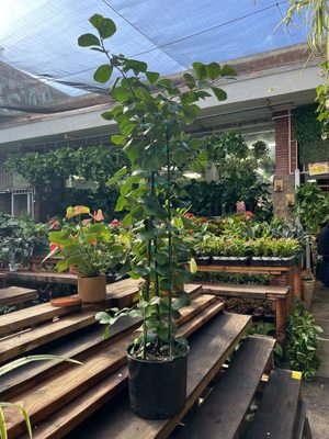 City Home & Garden, Inc by null