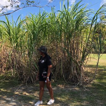 Whitney Plantation - Museums Near Me - Wallace, Louisiana Whitney Plantation - Museums Near Me - Wallace, Louisiana