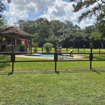 Yellow Rose Cabin - Bed & Breakfast Near Me - Goodrich, Texas Yellow Rose Cabin - Bed & Breakfast Near Me - Goodrich, Texas