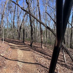 Sunburst Adventures - The trail