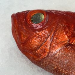 Yamamoto Fish