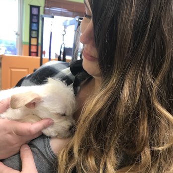 Just For Pause Energy Wellness - So relaxed, I napped while they did my hair! - Holistic Animal Care Near Me - Lyndhurst, New Jersey Just For Pause Energy Wellness - So relaxed, I napped while they did my hair! - Holistic Animal Care Near Me - Lyndhurst, New Jersey