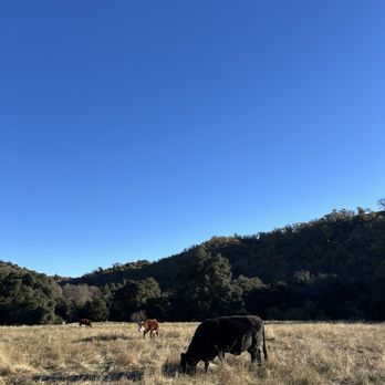 Santa Ysabel Preserves - Hiking Near Me - Julian, California Santa Ysabel Preserves - Hiking Near Me - Julian, California