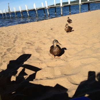 Delamar - Hotels Near Me - Traverse City, Michigan Delamar - Hotels Near Me - Traverse City, Michigan