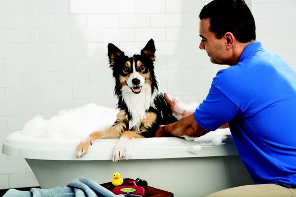 petsmart grooming phone number