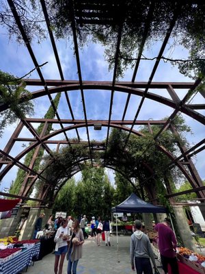 The Vineyard Farmer's Market by null