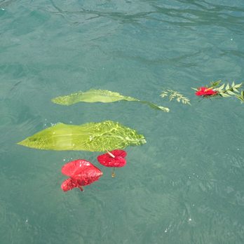 Aloha Ash Scattering - Funeral Services & Cemeteries Near Me