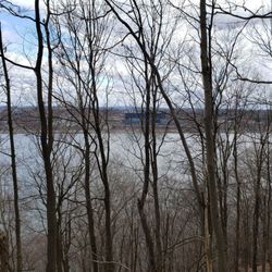 Franny Reese State Park