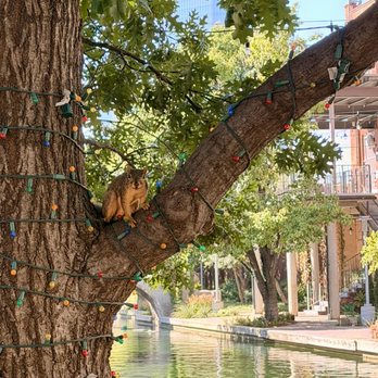 Bricktown - OKC - Local Flavor Near Me - Oklahoma City, Oklahoma Bricktown - OKC - Local Flavor Near Me - Oklahoma City, Oklahoma