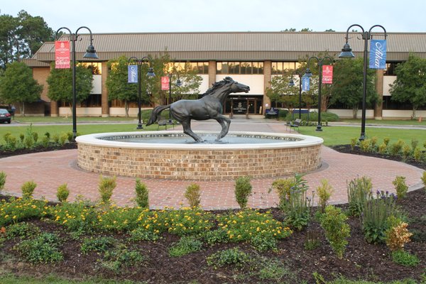 University of South Carolina Aiken by null
