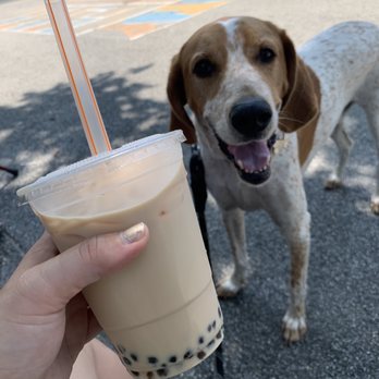 Jw Golden Bakery - Delicious milk tea - Bakeries Near Me - Brooklyn, New York Jw Golden Bakery - Delicious milk tea - Bakeries Near Me - Brooklyn, New York
