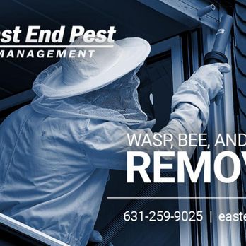 East End Pest Management - Pest Control Near Me - Quogue, New York East End Pest Management - Pest Control Near Me - Quogue, New York