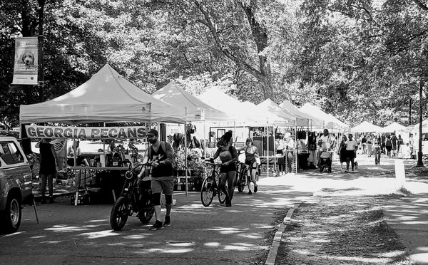 Piedmont Park by null
