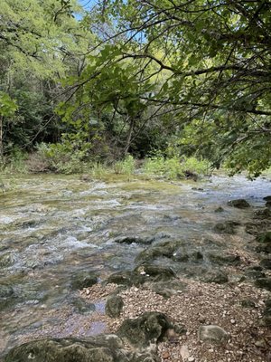 Barton Creek Greenbelt by null