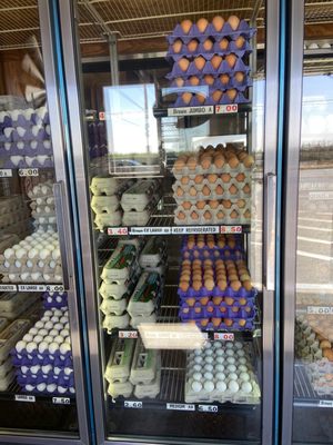 Voortman Egg Ranch by null