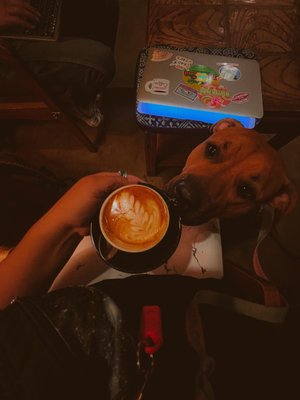 Epoch Coffee by null