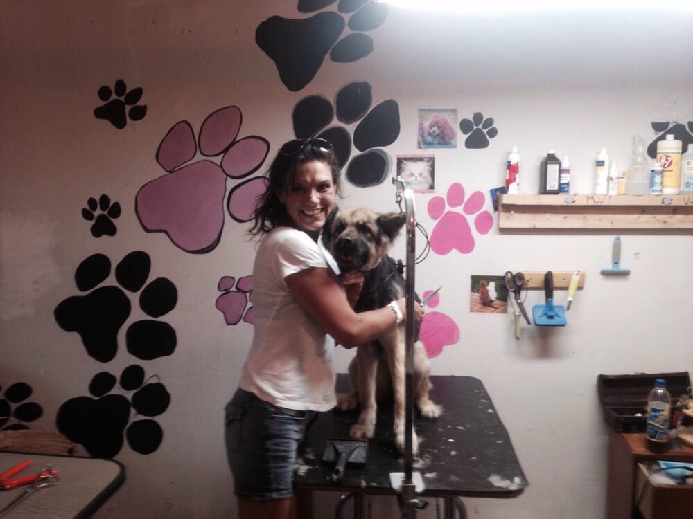 GENTLE GROOMING BY LEAH Updated October 2024 49 Photos Surrey