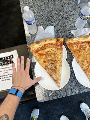 Lorenzo and Sons Pizza by null