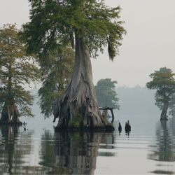 Stumpy Lake Natural Area
