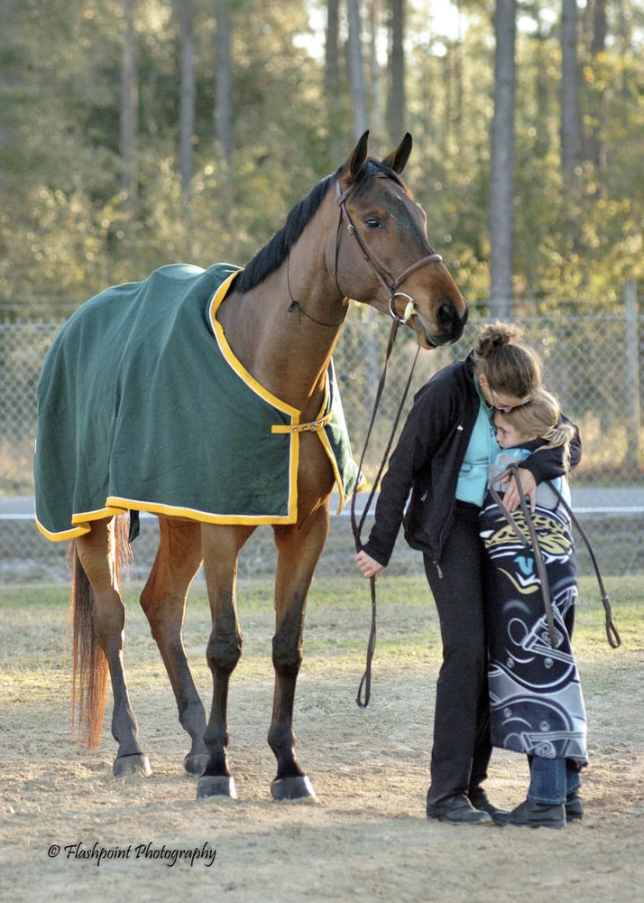Haddenloch - equestrian in Ponte Vedra, FL