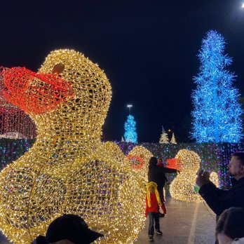 Enchant Dallas - Ducks - Festivals Near Me - Dallas, Texas Enchant Dallas - Ducks - Festivals Near Me - Dallas, Texas
