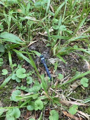 Caw Caw Interpretive Center by null