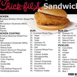 What is in the bun What is in the bun
