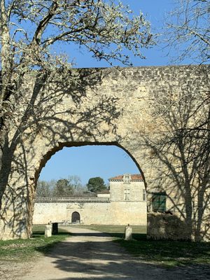 Château de Cazeneuve by null
