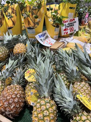 Newcastle Fruit & Produce Co. by null