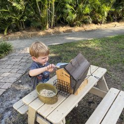 Little Flower Montessori School